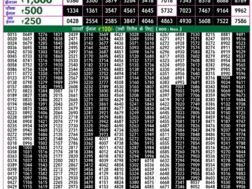 Lottery Result Today June 5, 2024