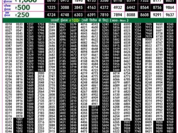 Lottery Result Today June 12, 2024