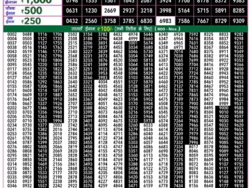 Lottery Result Today June 26, 2024