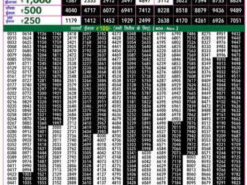 Lottery Result Today June 13, 2024