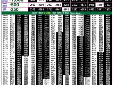 Lottery Result Today June 20, 2024