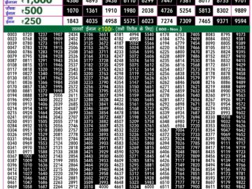 Lottery Result Today June 27, 2024