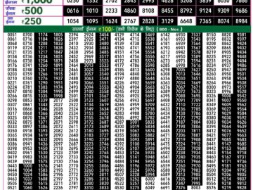 Lottery Result Today June 11, 2024