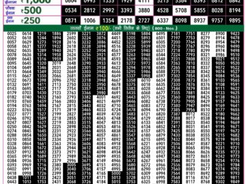 Lottery Result Today June 18, 2024