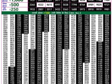 Lottery Result Today June 25, 2024