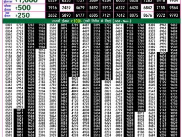 Lottery Result Today June 16, 2024