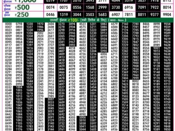 Lottery Result Today June 8, 2024