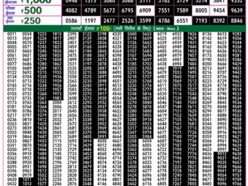 Lottery Result Today June 29, 2024