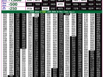 Lottery Result Today June 21, 2024