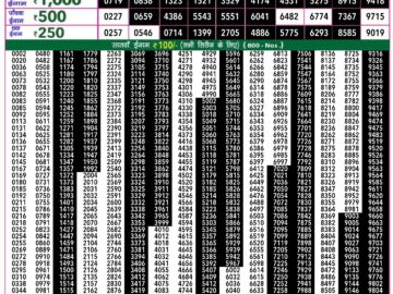 Lottery Result Today June 28, 2024