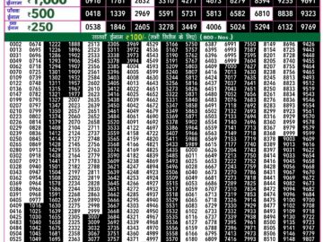 Lottery Result Today June 17, 2024