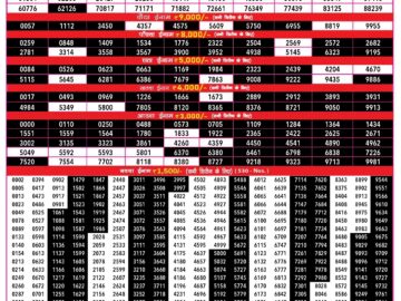 Lottery Result Today June 11, 2024