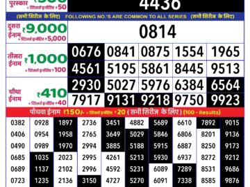 Lottery Result Today June 30, 2024