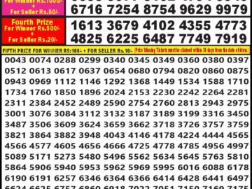 Lottery Result Today June 15, 2024