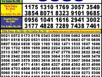 Lottery Result Today June 18, 2024