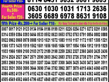 Lottery Result Today June 18, 2024