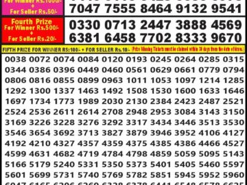 Lottery Result Today June 12, 2024