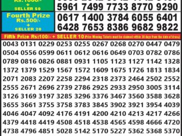 Lottery Result Today June 11, 2024