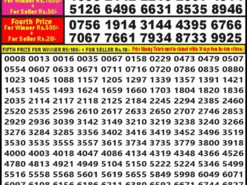 Lottery Result Today July 6, 2024