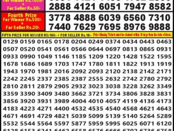 Lottery Result Today July 13, 2024