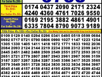 Lottery Result Today July 8, 2024