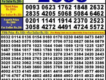 Lottery Result Today July 12, 2024