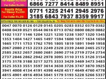 Lottery Result Today July 24, 2024