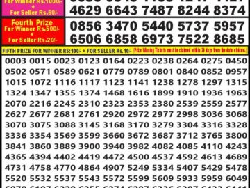 Lottery Result Today July 5, 2024