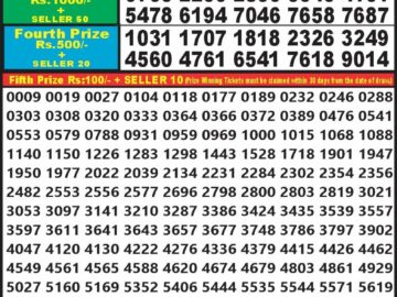 Lottery Result Today July 28, 2024