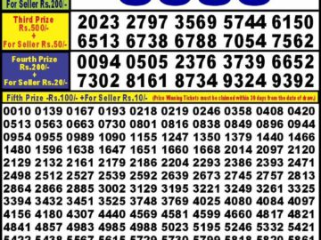 Lottery Result Today July 2, 2024