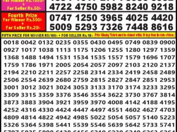 Lottery Result Today July 16, 2024