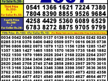 Lottery Result Today July 17, 2024