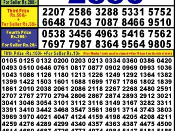 Lottery Result Today July 20, 2024