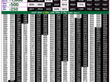 Lottery Result Today July 3, 2024