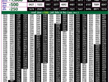 Lottery Result Today July 10, 2024