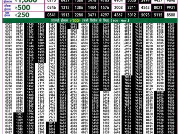 Lottery Result Today July 17, 2024