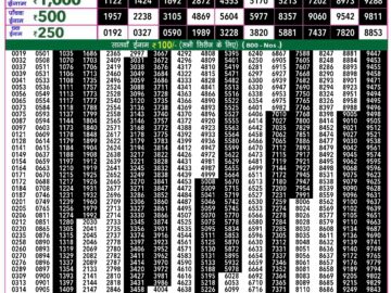 Lottery Result Today July 24, 2024