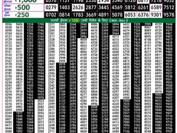 Lottery Result Today July 31, 2024