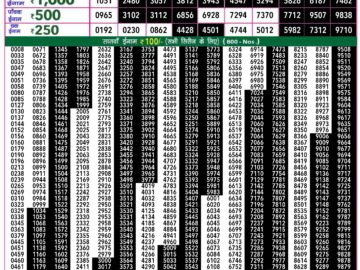 Lottery Result Today July 11, 2024