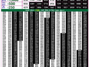 Lottery Result Today July 9, 2024