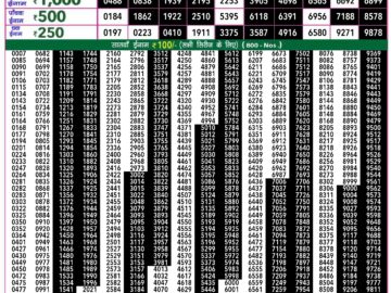 Lottery Result Today July 23, 2024