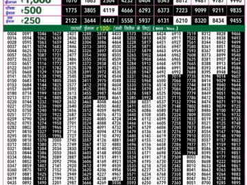 Lottery Result Today July 21, 2024