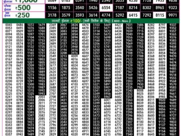 Lottery Result Today July 13, 2024