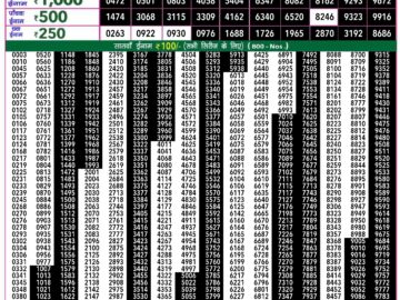 Lottery Result Today July 20, 2024