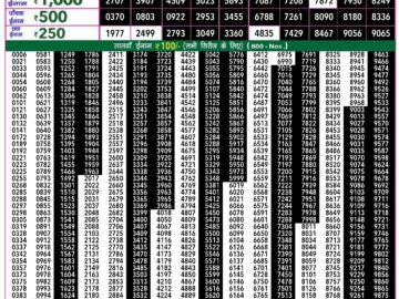 Lottery Result Today July 8, 2024