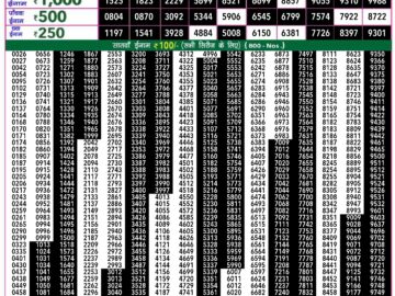 Lottery Result Today July 15, 2024