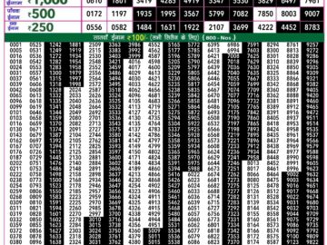 Lottery Result Today July 29, 2024