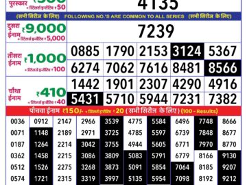 Lottery Result Today July 13, 2024