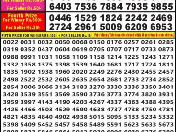 Lottery Result Today July 20, 2024