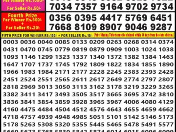 Lottery Result Today July 27, 2024